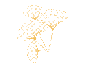 出片率100%！海陵“含金量”在上升！