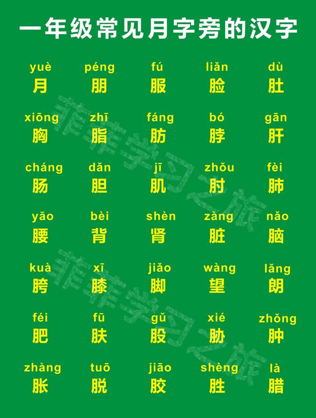 交的部首是什么（一年级偏旁部首月字旁）