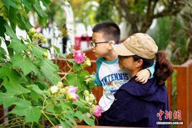 成都天府芙蓉园花开满园：吸引市民游客簇拥赏花拍照