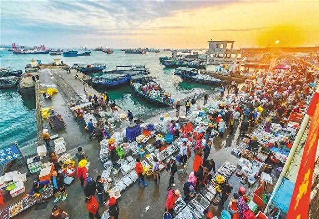 海南，好多“马”啊~