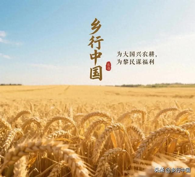 四大古城竞风流：阆中如何突围，再现"客如云，城如京"盛景？