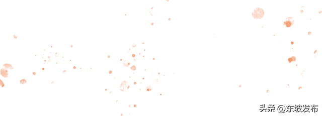 红了红了！东坡水杉出片率100%