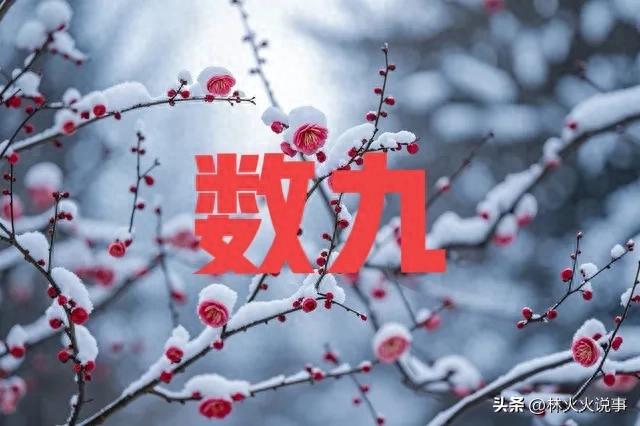 今日进一九，老话说“一九多晴天，坟头遍地起”，晴天有啥预兆？