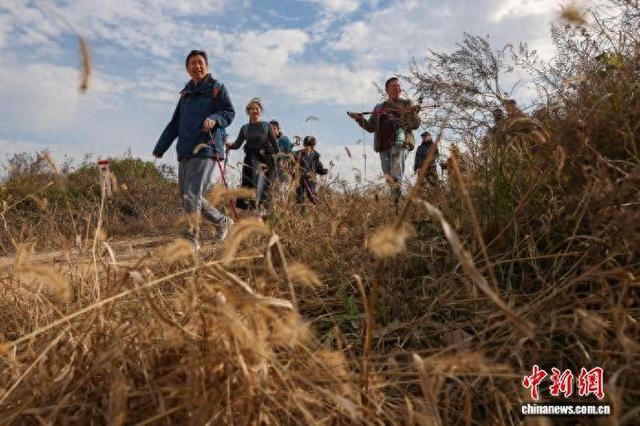 三千徒步爱好者走进南京江宁“山野拾秋”