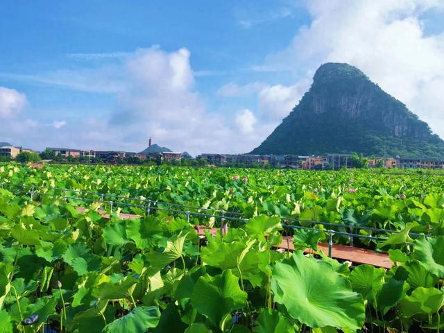 把景色装进回忆 | 未来作家云游团