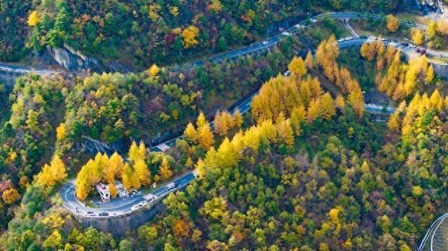 镇坪县：红叶映山客满农家