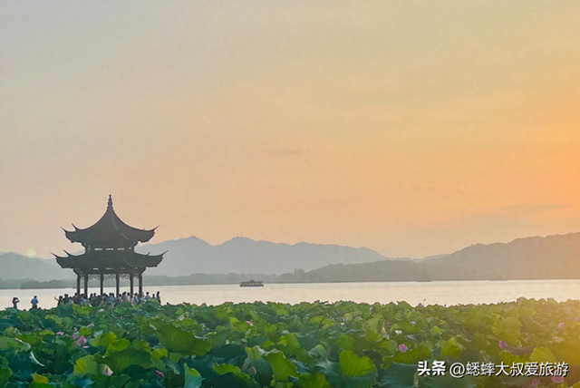 杭州夏日“出淤泥而不染” 的赏荷路线，80%人都不知道！