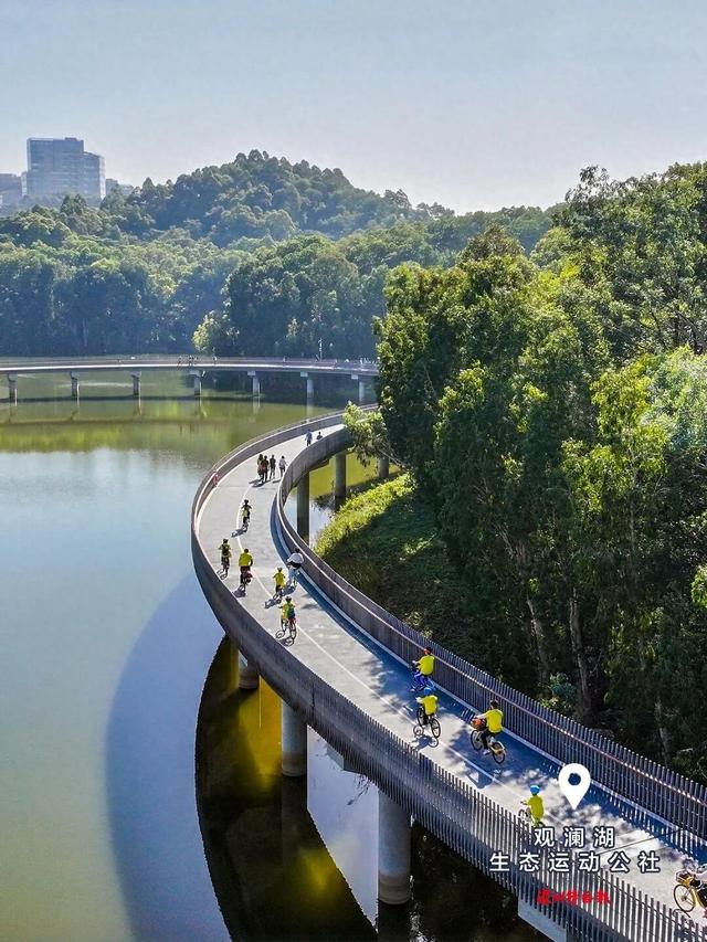 美丽深圳·每日一图｜2025年12月6日