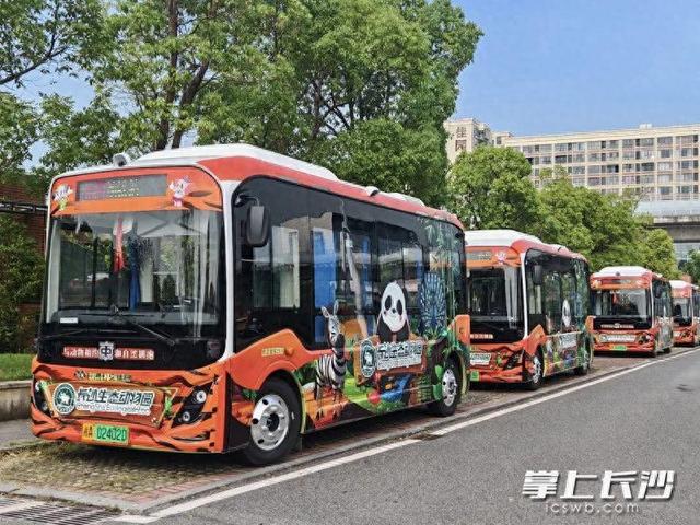绿色出行快乐加倍，长沙生态动物园萌趣主题巴士正式运营