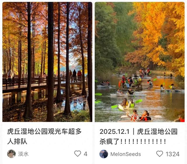 最近林子里长满了苏州人