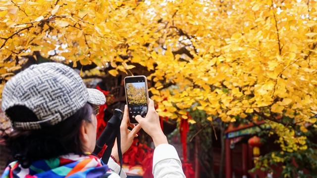 聚焦高质量发展丨从风景到场景 “驾游安徽”焕新出发热力足