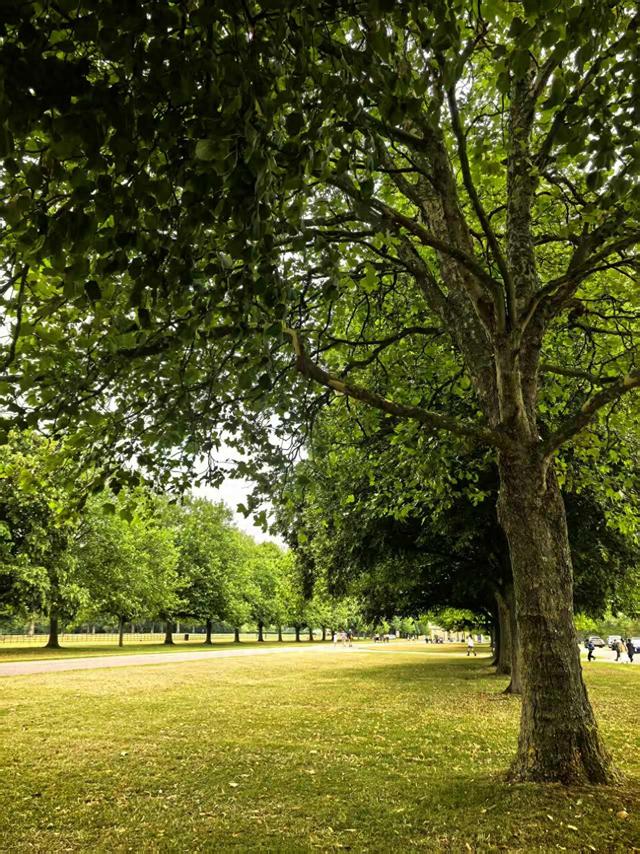 2025年夏季英国游记（十）：漫步英国丘吉尔庄园