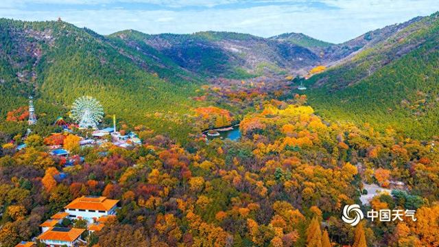 秋到南方 赴一场秋叶的绚烂之约