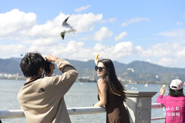 开屏策划｜云南的冬天，想请你“叛逆”一下