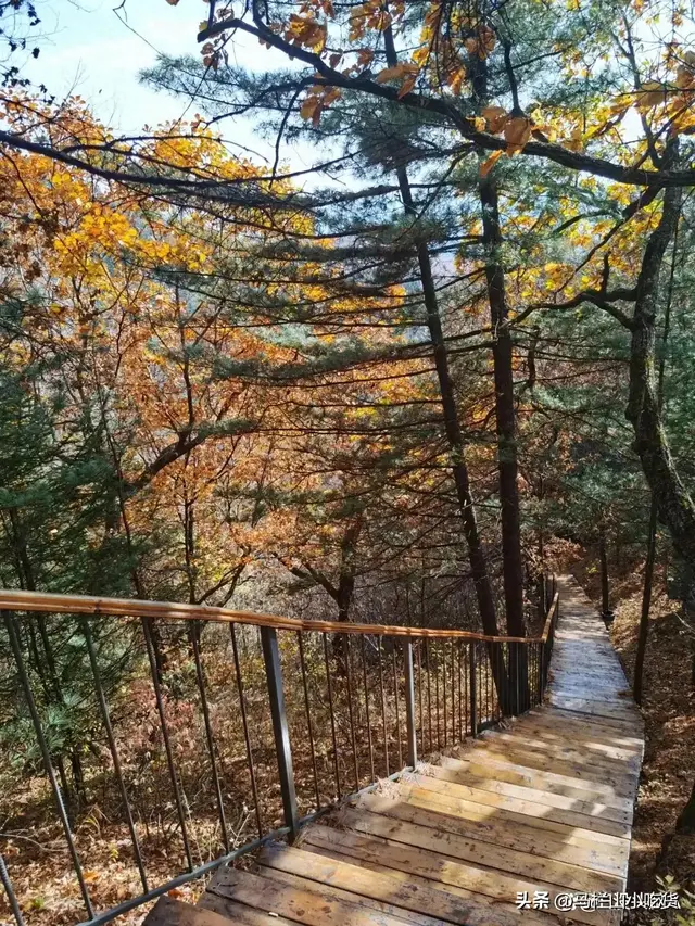 黑龙江鹤岗｜被房价带火的宝藏小城，玩起来也太香了！