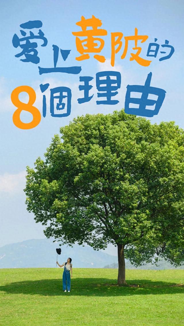 逃离都市，一路向北！反复爱上黄陂的8个理由！