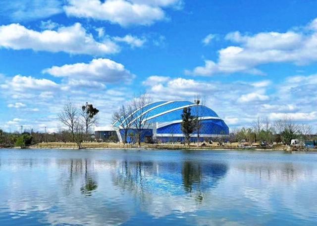 全国首个！成都熊猫海洋公园3月18日试营业