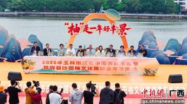 “柚”是一年好丰景 容县沙田柚文化旅游嘉年华举办