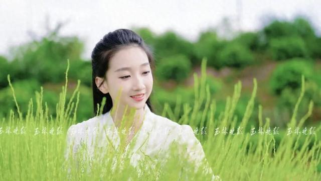 快来打卡！玉林这里藏着一片“绿野仙踪”