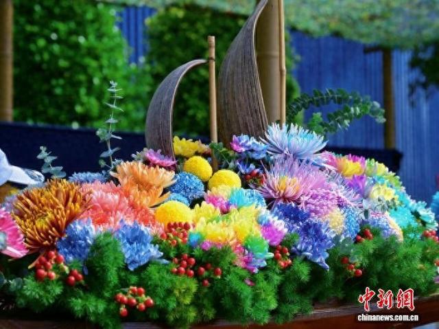 第十届青秀山菊花展在广西南宁启幕