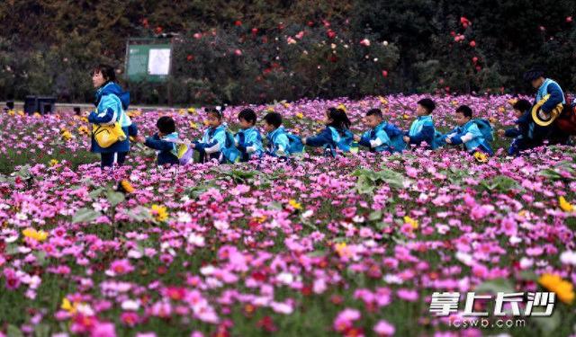 省植物园世界名花广场浪漫花海等你来打卡