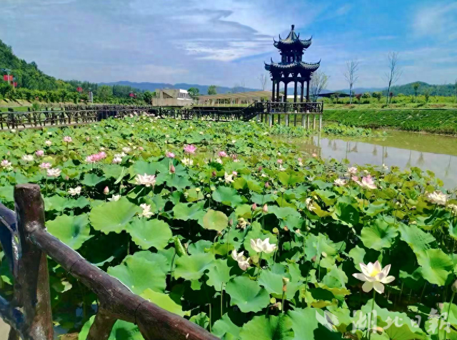房县军店镇：农文体旅融合 激活“暑期旅游经济”