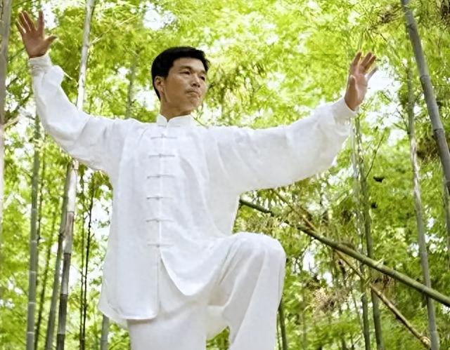 太极进阶5阶段从比划到身心合一一步一步来_447