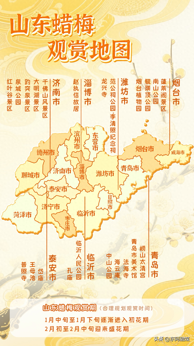 山东的第一波蜡梅开啦！快来邂逅这份冬日限定的浪漫