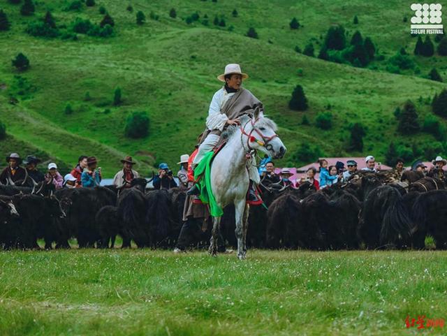 多地多维度联动，助推文旅新体验