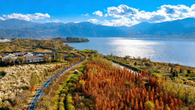 含“金”量还在上升！速冲→