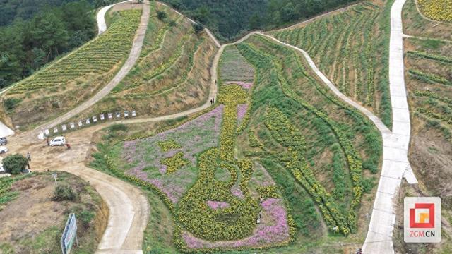 邀你品菊赏秋！东兴镇老君坝村第四届菊花文化旅游美食节本周六启幕