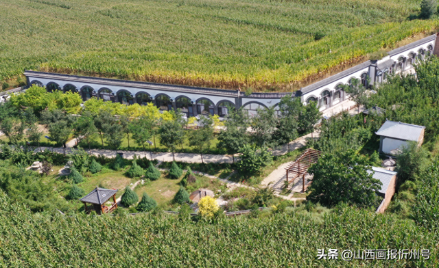 又见奇村 | 你知道吗？南高藏着一个“窑洞秘境”！