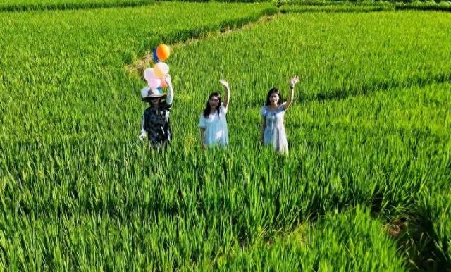 荷塘、稻田、露营……就在宁德这里→