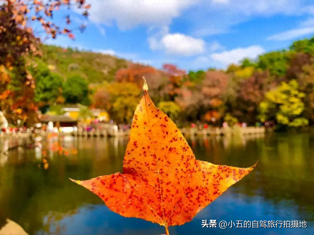 2025天平山炸裂攻略！怪石/古刹/红叶疯了，错过等一年