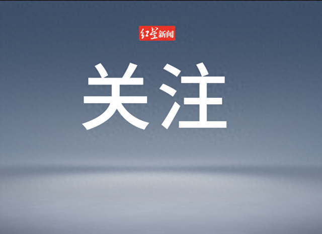 太突然！裁员20%，可选择提前退休