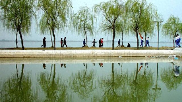 淮北重逢 故园新颜入梦来