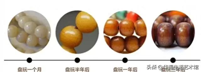 菩提根盘玩方法（菩提根的盘玩大法）