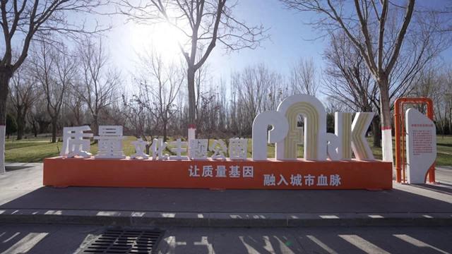 西北首个！灵武“质量文化主题公园”开放，成城市形象新名片