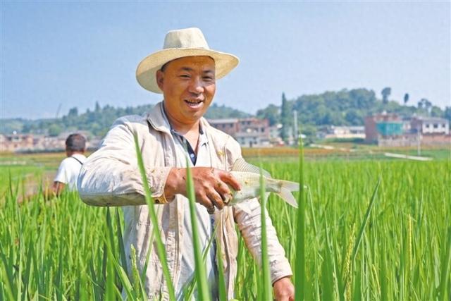 宁静山村变身旅居“新宠”