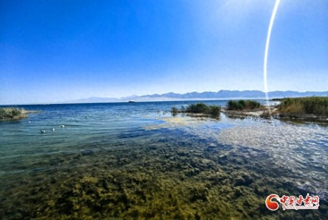 祁连山下是我家丨阿克塞：于苏干湖畔绘就生态和谐新画卷
