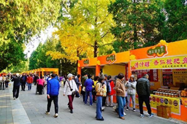 逛市集的年轻人在“好好生活”