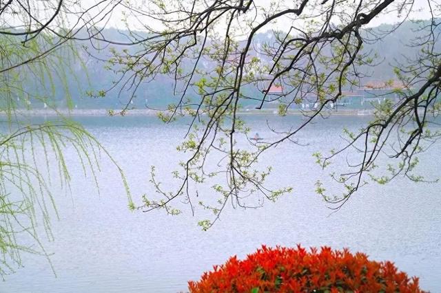 起风了，逛公园去