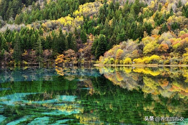 国庆大假去哪玩？绵阳出发，4小时奔赴九寨沟仙境！