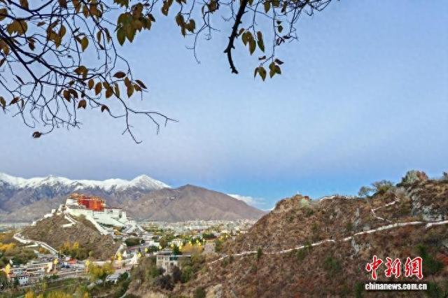 拉萨进行旅行社、导游及酒店民宿“十金”评选活动