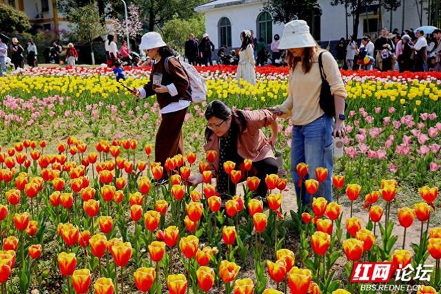 【赴春之约】郁见浪漫：长沙园林生态园的春日视觉盛宴