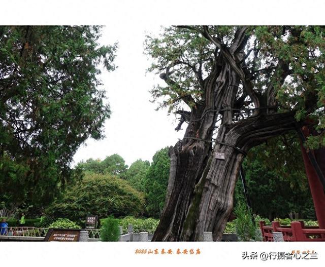 山东行游影记（307）—泰安岱庙（三）