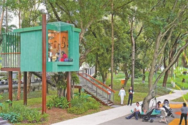 公园长出了可以弹琴奏乐的树屋 深圳人文温度有了具象表达