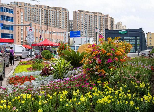 哈市香坊区持续提升“鸟语花香”绿色生态体验