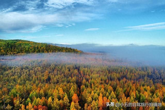 9 地秋日赏秋实测攻略！附最佳时间 + 落地玩法，收藏直接走