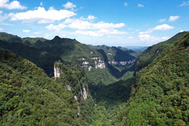 徒步油杉河、露营崔苏坝，再赴奢香古镇的彝家之约……跟着小编解锁秋游大方新方式